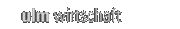 ulmlog wirtschaft