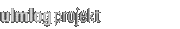 projekt